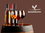Demain les vins